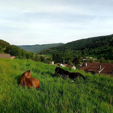 Gite De Famille Dans Les Vosges Saint-Maurice-sur-Moselle Exterior foto